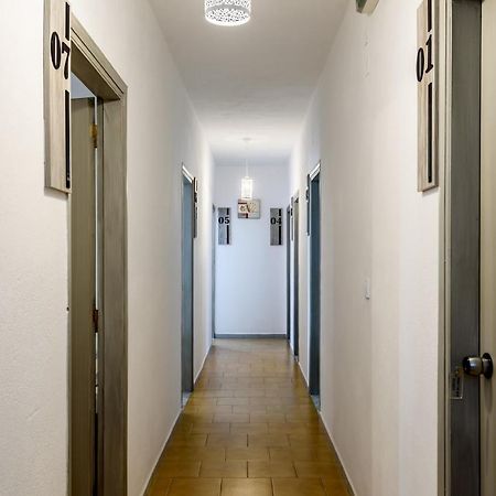 Giannis Studio Agia Roumeli Lägenhet Exteriör bild
